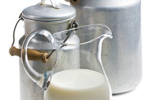 Proteine del latte: protagoniste nella preparazione del gelato artigianale