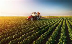 Crea, il settore agroalimentare resiste e si dimostra essere la chiave dell'economia